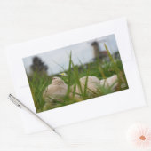 Beer relaxt in natuur met Hollandse molen. Rechthoekige Sticker (Envelop)