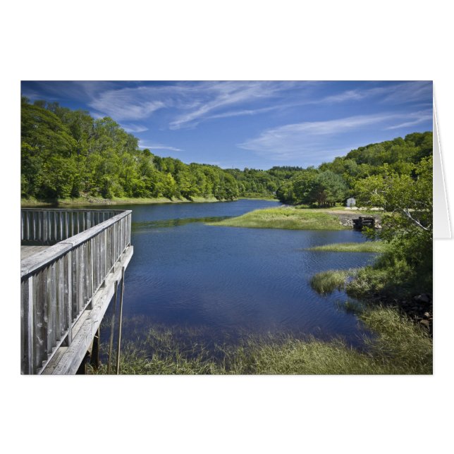 Beer River, NS (Voorkant Horizontaal)