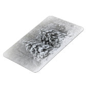 Beer River Perennial Gardens. North Minnesota Magneet (Linkerzijde)