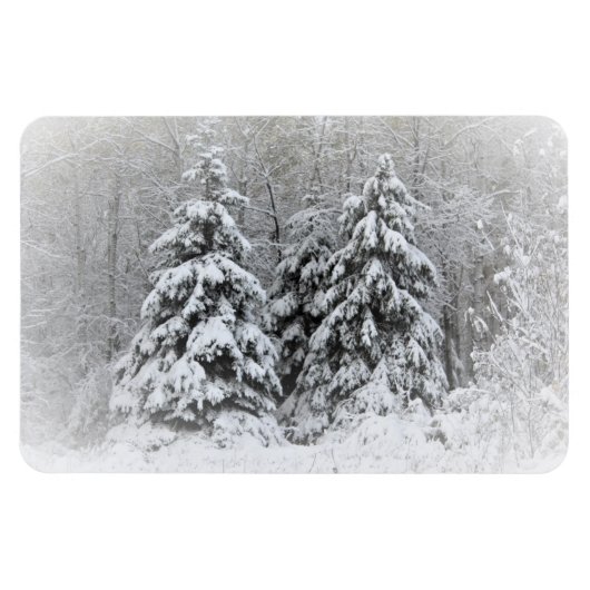 Beer River Perennial Gardens. North Minnesota Magneet (Horizontaal)