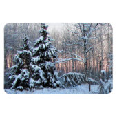 Beer River Perennial Gardens. North Minnesota Magneet (Horizontaal)