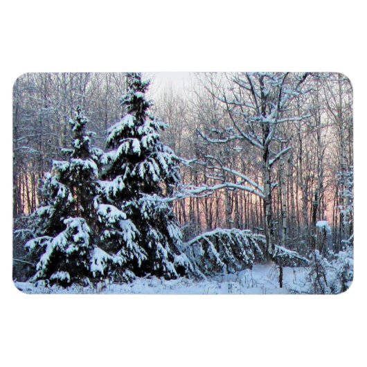 Beer River Perennial Gardens. North Minnesota Magneet (Horizontaal)