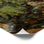 Beer River Trout Pond, Newry Maine: rustig water Perfect Poster (Hoek)