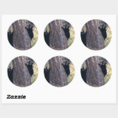 beer ronde sticker (Vel)