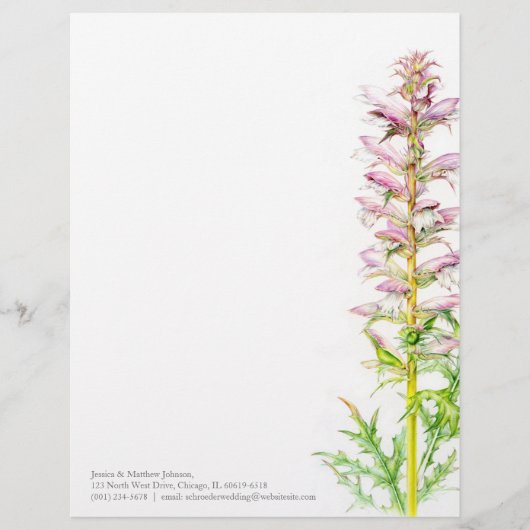 Beer roze groene waterverf letterkop briefhoofd sjabloon (Voorkant)