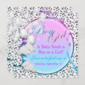 Beer sekse onthult meisje kaart (Voorkant / Achterkant)