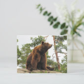 BEER SITTING OP EEN ROCK BRIEFKAART (Staand voorkant)