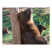 Beer snijden foto afdruk (Voorkant)