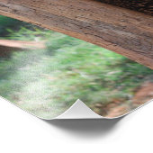 Beer snijden foto afdruk (Hoek)