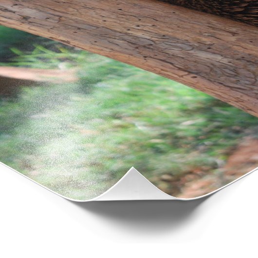 Beer snijden foto afdruk (Hoek)