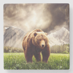 Beer Stenen Onderzetter