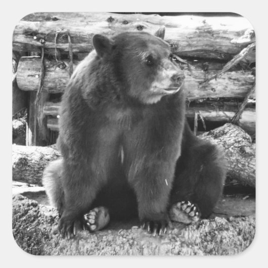 Beer Sticker (Voorkant)