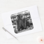 Beer Sticker (Envelop)