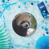 Beer Sweet Red Panda Papieren Bordje (Feest)