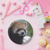 Beer Sweet Red Panda Papieren Bordje (Feest)