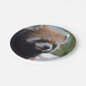 Beer Sweet Red Panda Papieren Bordje (Gekanteld)