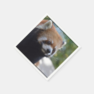 Beer Sweet Red Panda Servetten