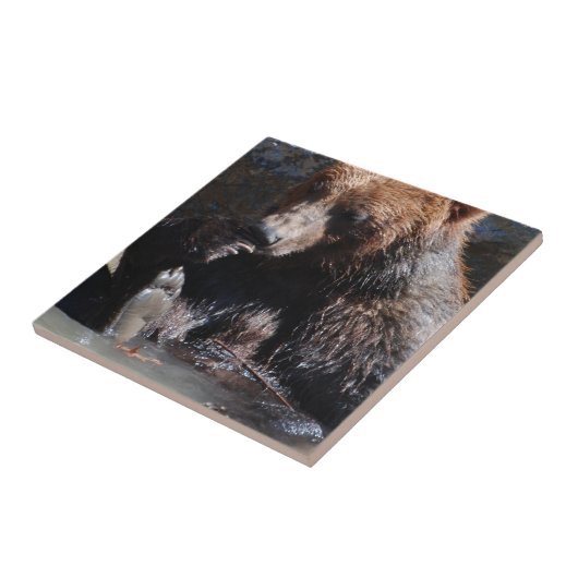 Beer Tegeltje (Zijkant)