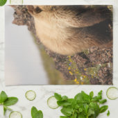 beer theedoek (Gevouwen)