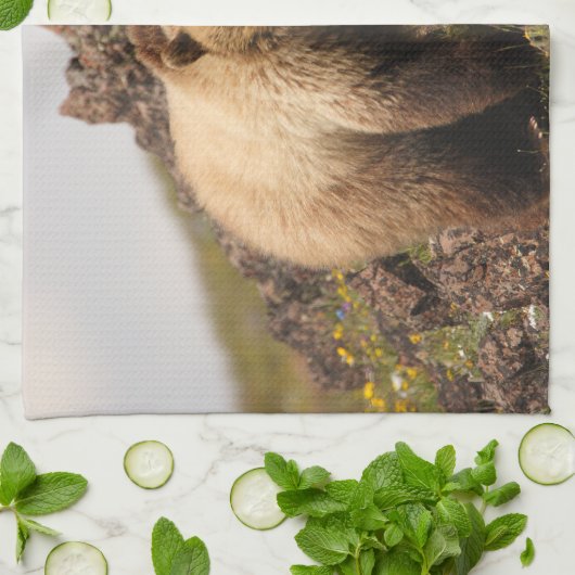 beer theedoek (Gevouwen)