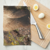 beer theedoek (Quarter Fold)