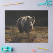 Beer Tissuepapier (Craft)