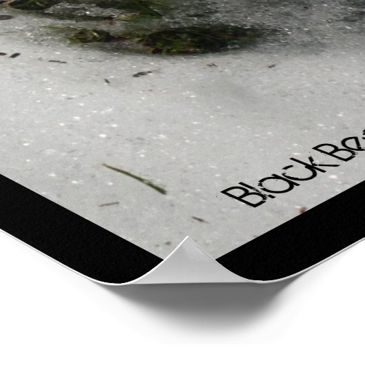 Beer Track Poster (Hoek)