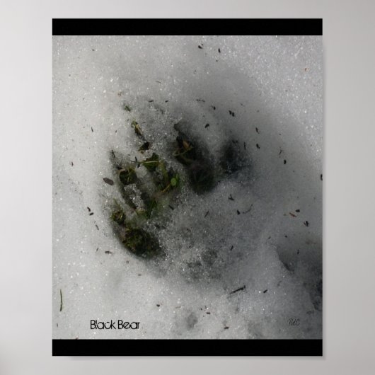 Beer Track Poster (Voorkant)