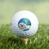 Beer van Aurora Polar Golfballen (Insitu Shirt)