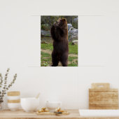 Beer van Beauful Brown Grizzly Poster (Keuken)