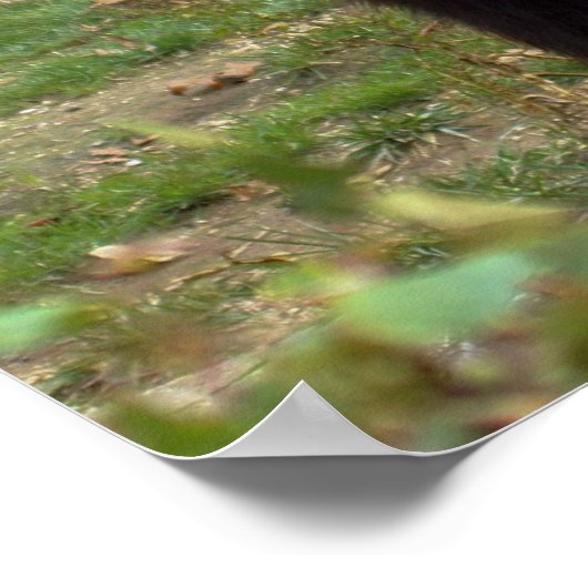 Beer van Beauful Brown Grizzly Poster (Hoek)