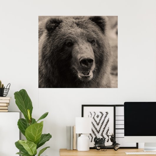 Beer van Beauful Brown Grizzly Poster (Thuiskantoor)