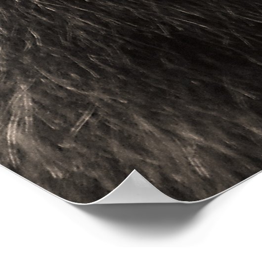 Beer van Beauful Brown Grizzly Poster (Hoek)