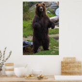 Beer van Beauful Brown Grizzly Poster (Keuken)