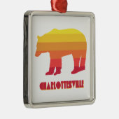 Beer van Charlottesville Virginia Rainbow Metalen Ornament (Rechts)