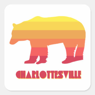 Beer van Charlottesville Virginia Rainbow Vierkante Sticker