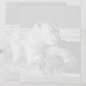  beer van de Amerikaanse Alaska-moeder (Voorkant / Achterkant)