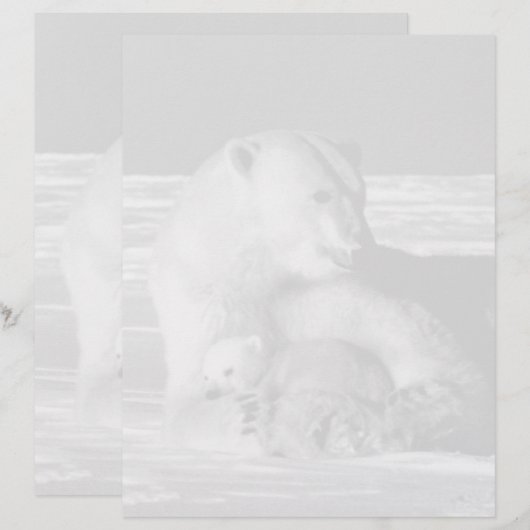  beer van de Amerikaanse Alaska-moeder (Voorkant / Achterkant)