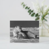  beer van de Amerikaanse Alaska-moeder Briefkaart (Staand voorkant)