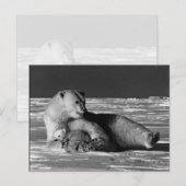  beer van de Amerikaanse Alaska-moeder Briefkaart (Voorkant / Achterkant)