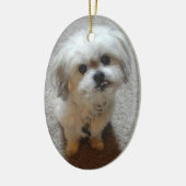 Beer van de kerstversiering van het Malshi-ovaal Keramisch Ornament (Links)