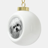 Beer van de kerstversiering van Malshi Keramische Bal Ornament (Rechts)