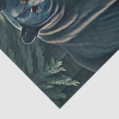 Beer van de Noordelijke Bossen (Majestic Black) Tissuepapier (Detail)