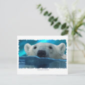 BEER VAN DE ZWEMMERING BRIEFKAART (Staand voorkant)