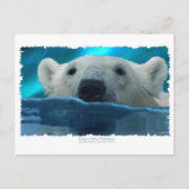 BEER VAN DE ZWEMMERING BRIEFKAART (Voorkant)