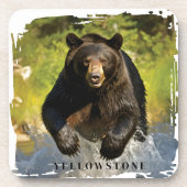 Beer van geelsteen bier onderzetter (Voorkant)