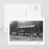 Beer van het Nationaal Park Yosemite Creek Lodge Briefkaart (Voorkant / Achterkant)