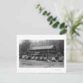 Beer van het Nationaal Park Yosemite Creek Lodge Briefkaart (Staand voorkant)