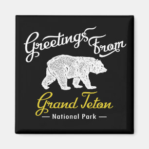 Beer van het nationale park Grand Teton Magneet