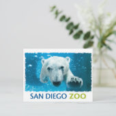 Beer van San Diego Zoo Polar Briefkaart (Staand voorkant)